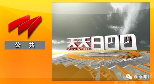 喜迎十九大，主播在行動——廣播電視節目制作經營的創新與實踐